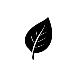 ESG Advisors